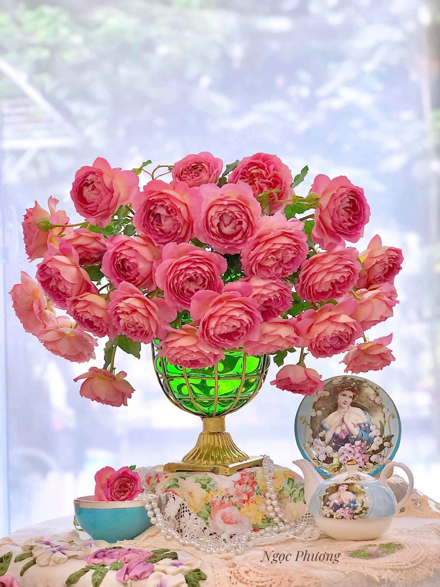 Tử vi ngày Thứ Tư 26/10/2022 của 12 cung hoàng đạo